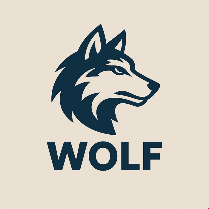 نوک پیچ گوشتی دوسر چهارسو 11سانتیمتر سری کلاسیک PH2*PH2*110 ولف پلاس